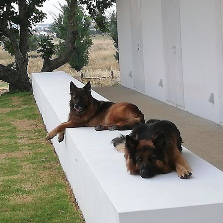 Monte Da Azarujinha Villa Azaruja Dış mekan fotoğraf
